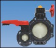 Image for Asahi/America Announces New Type 57IL Isolator Lug Butterfly Valve