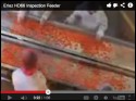 Image for Eriez HD-66 Dual Inspection Vibratory Conveyors Featured in Video