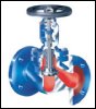 Product(s) by ARI Valve Corp.