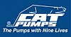 Logo for CAT PUMPS-High Pressure Pumps & Systems