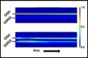 Image for New NIST Method Evaluates Response to Oxidation in Live Cells